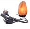 مهار سیم کابل Salt Rock Lamp 25 Watt ، 3 سیم برق Prong Ac